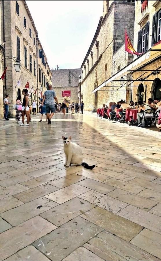 Apartments Mila Dubrovnik Dış mekan fotoğraf